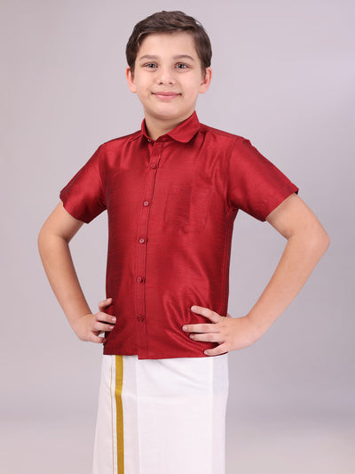 Boys Dark Brown Color Half Sleeves Shirt side pose